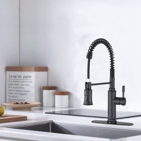 Stainless steel kitchen faucet (Default: Default)